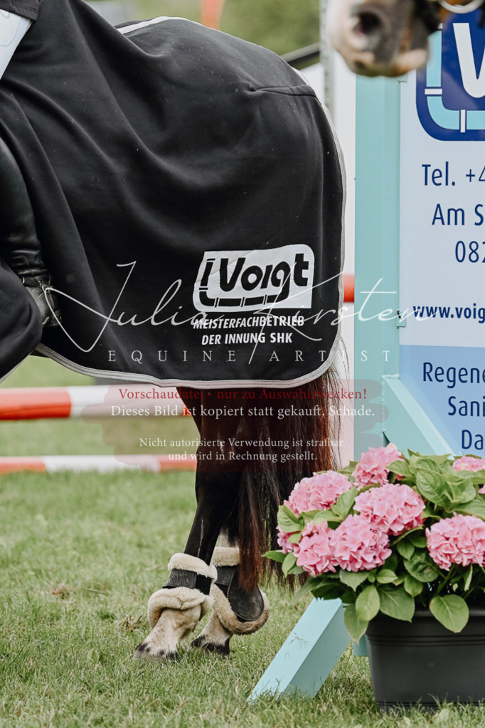 DSC_7124 | Pferde- und Turnierfotografie in Westsachsen. Pferdeportraits, Auftragszeichnungen und intuitive Kunst.