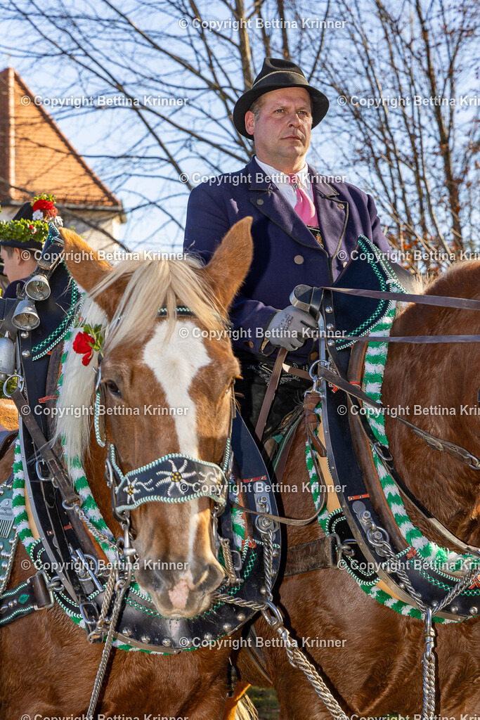 LBT25-1278 | foto-bettina-krinner - Realisiert mit Pictrs.com