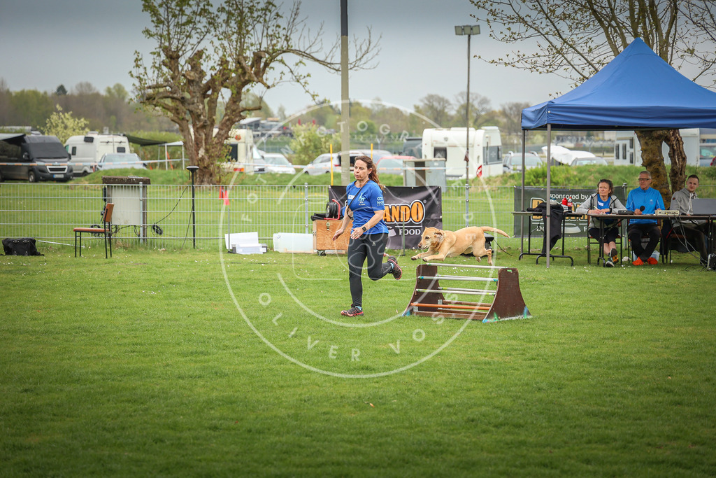 Pfotenfotografie_0L8A9566 | Hundefotografie, Tierfotograf, Pfotenfotografie, Fotoshooting Hund, Hunde Portrait, Hundesport, Hundeportraits, Heideshooting, Hunde, Sportfotograf, Hundefotograf, Turnierhundsport, THS,  - Realisiert mit Pictrs.com
