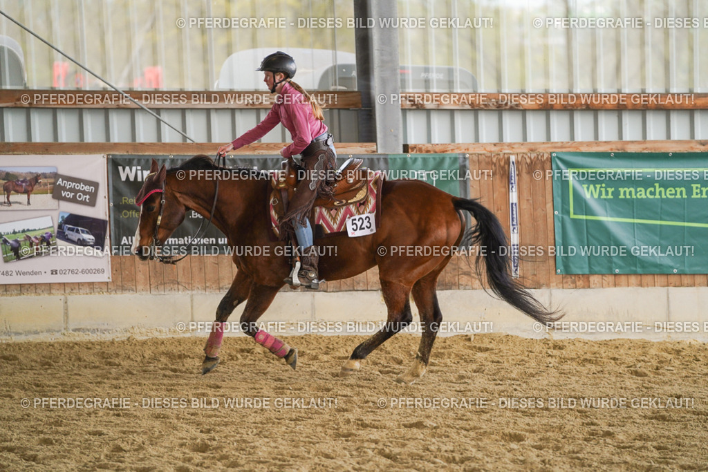 DSC08707 | Pferdegrafie