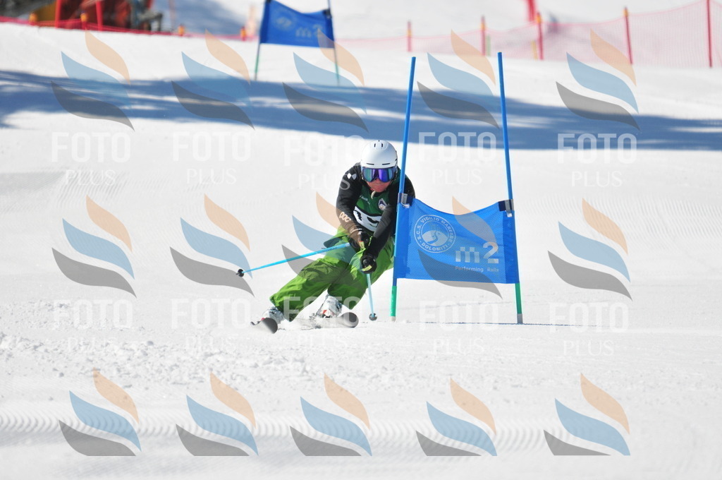 C4445 | holidayphoto