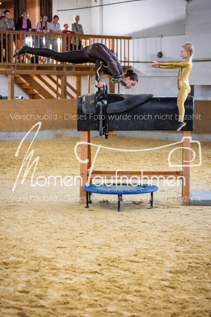 Holzpferd-064 | MomenTaufnahmen Pferdesportfotos