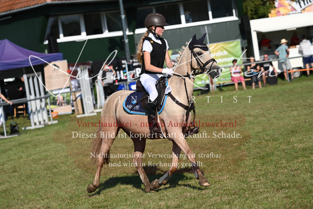 DSC_4906 | Pferde- und Turnierfotografie in Westsachsen. Pferdeportraits, Auftragszeichnungen und intuitive Kunst.