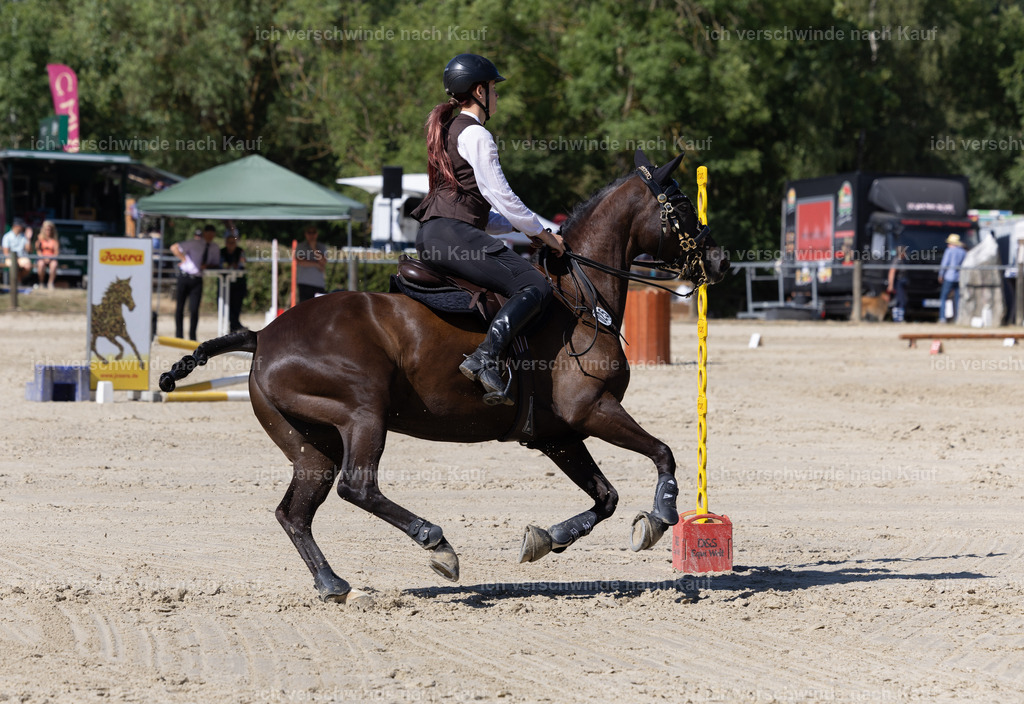 WL_Speed_25_KerstinBernhardt-4 | working equitationturnier fotograf videograf stoibphotography marixx film working equitation deutschland reitsport turnierfotografie eventfotografie equestrian events