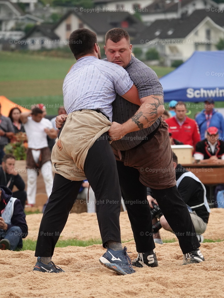 DSC04854 | Schwingen - Realisiert mit Pictrs.com
