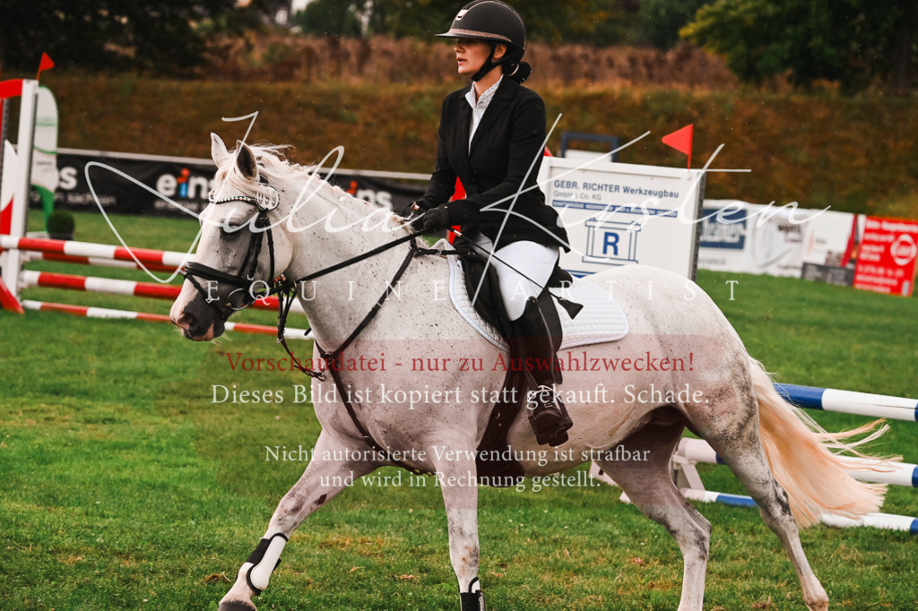 DSC_6192 | Pferde- und Turnierfotografie in Westsachsen. Pferdeportraits, Auftragszeichnungen und intuitive Kunst.