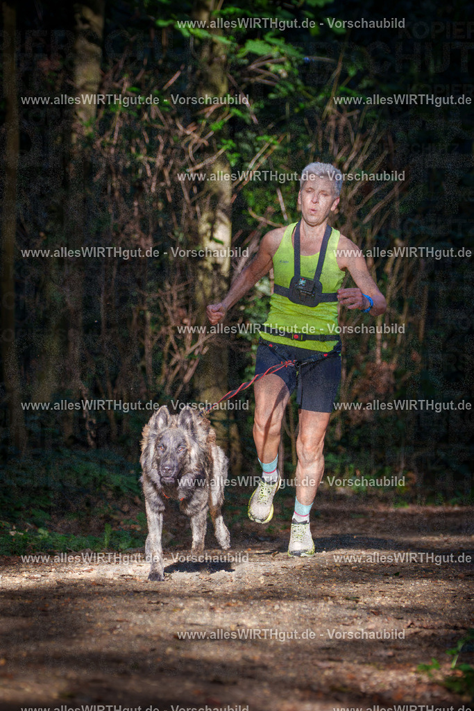 THS_Turnier_27-09-2026-allesWIRTHgut_Tierfotografie-7R505201 | Professionelle Tierfotografie in Mönchengladbach von Daniel Wirth (allesWIRTHgut). Liebevolle & natürliche Bilder von Hunden & Katzen für unvergessliche Erinnerungen.