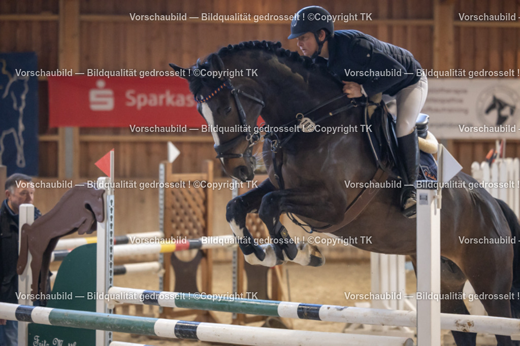 _D5A9266 | Emotionale Pferde- & People-Fotografie rund um Heidelberg, Leimen & Umgebung. Natürliche Fotos von Pferd, Mensch & Familie. Jetzt Termin sichern!