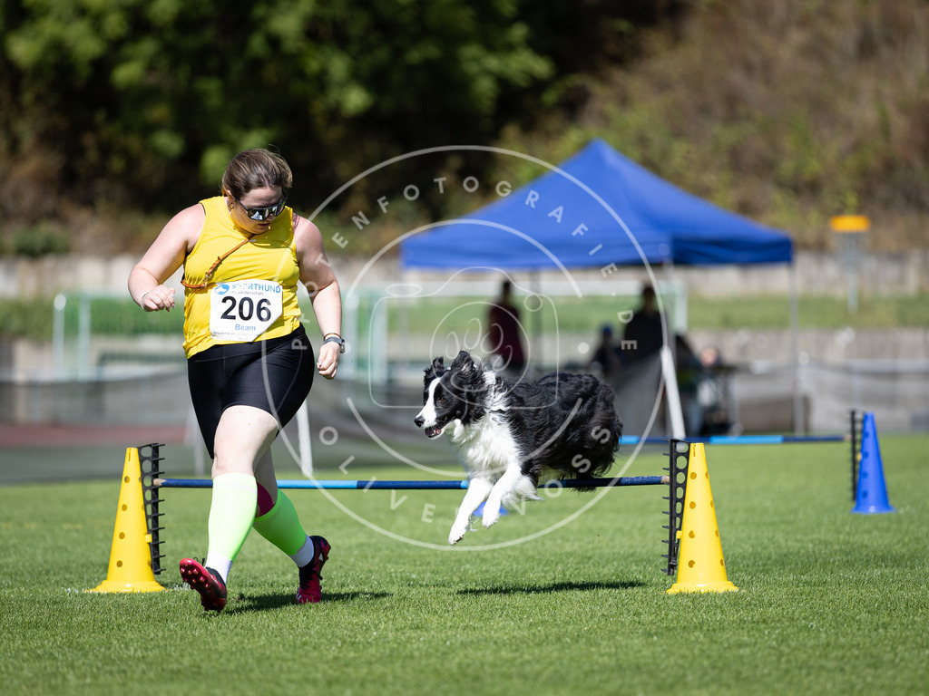 Pfotenfotografie_DV3A5102 | Hundefotografie, Tierfotograf, Pfotenfotografie, Fotoshooting Hund, Hunde Portrait, Hundesport, Hundeportraits, Heideshooting, Hunde, Sportfotograf, Hundefotograf, Turnierhundsport, THS,  - Realisiert mit Pictrs.com