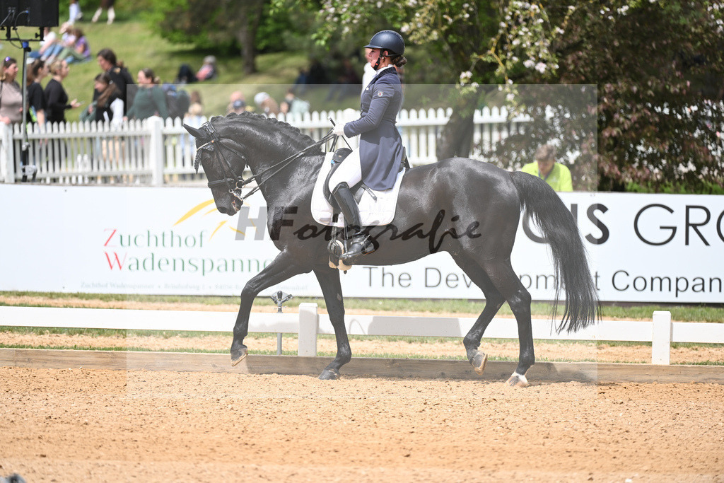 Merk_Sambuco_11233594 | hf-fotografie - Realisiert mit Pictrs.com