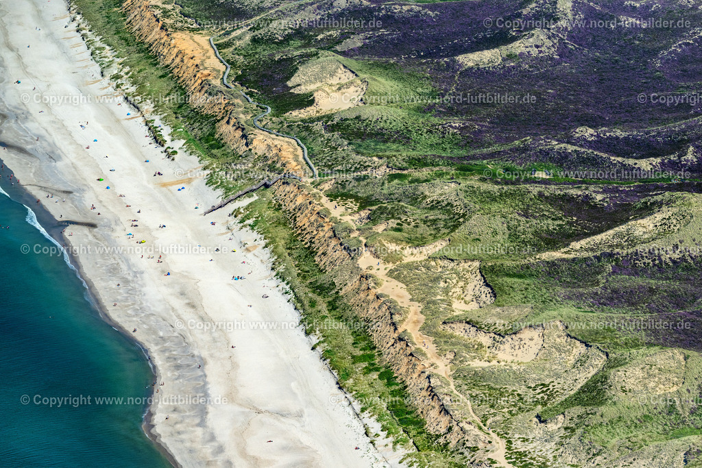 Sylt_Kampen_Rotes_Kliff_ELS_4784130825 | KAMPEN (SYLT) 13.08.2025 Küsten- Landschaft an der Steilküste Rotes Kliff mit dem Hotel Rungholt in Kampen (Sylt) im Bundesland Schleswig-Holstein, Deutschland. // Coastal landscape on the steep coast of Rotes Kliff with the Hotel Rungholt in Kampen (Sylt) in the state Schleswig-Holstein, Germany. Foto: Martin Elsen
