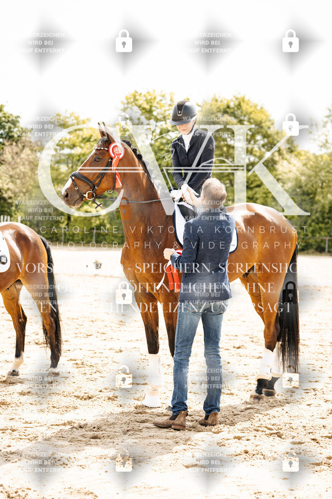 CK703624 | Turnierfotografie Pferdefotografie Trier Rheinland-Pfalz Pferdesport Reitsport Tierfotografie Sportfotografie Pferdevideo Pferdevideografie Equestrianvideography equestrianphotography  - Realisiert mit Pictrs.com