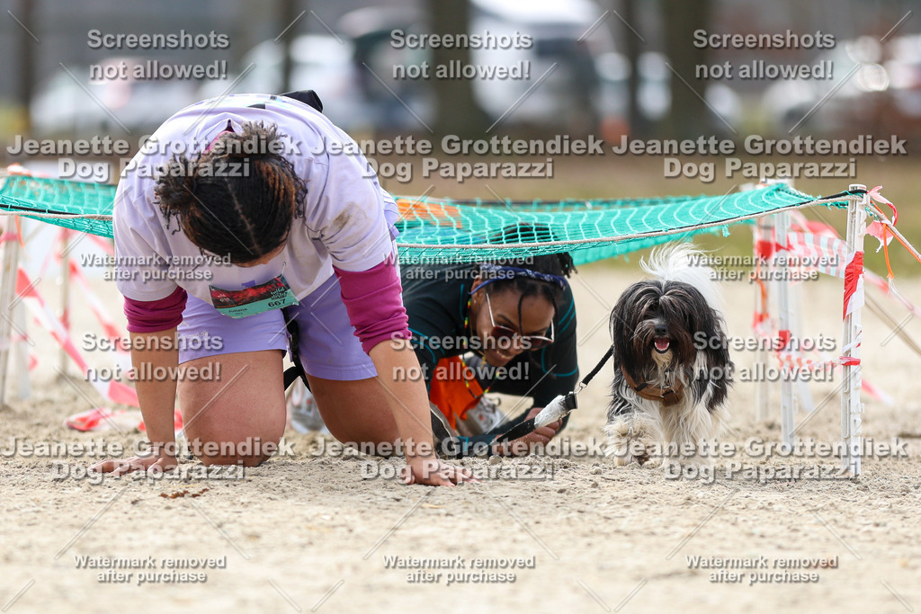 Dog Paparazzi - Strongdog North Mrz26-5762 | Dog Paparazzi Jeanette Grottendiek Fotografie & Videografie - Realisiert mit Pictrs.com