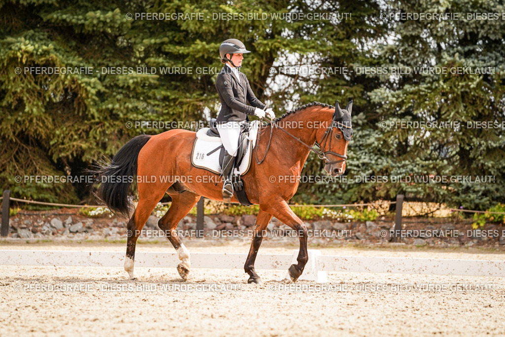 DSC01707 | Pferdegrafie