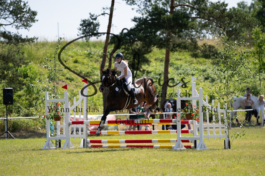 A7V05680 | Pferdefotograf