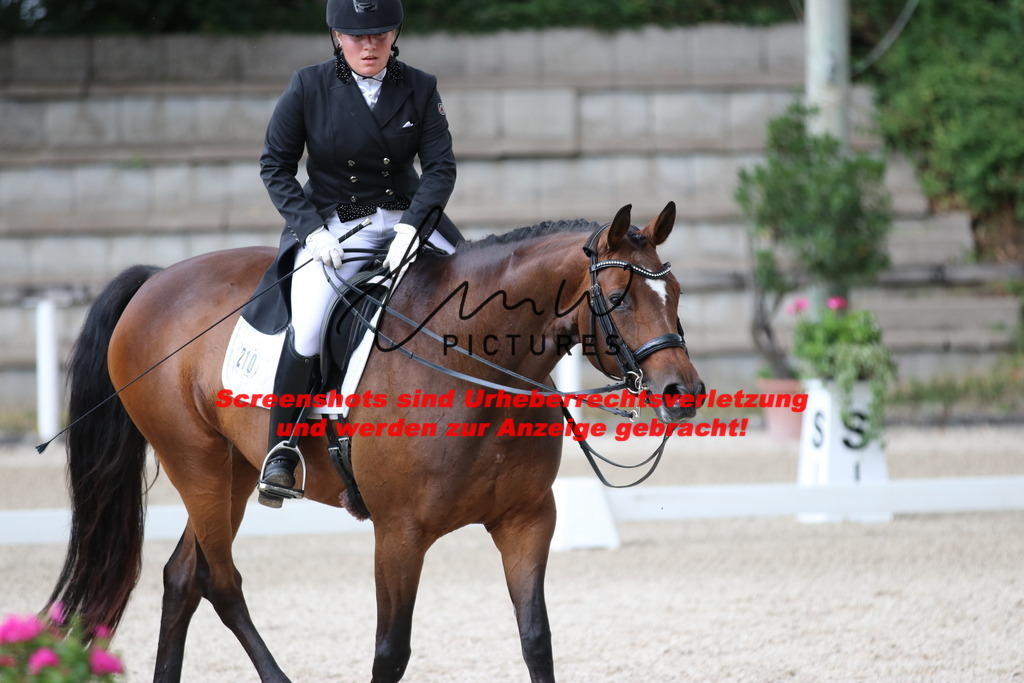 IMG_9654 | lmwpictures - Realisiert mit Pictrs.com