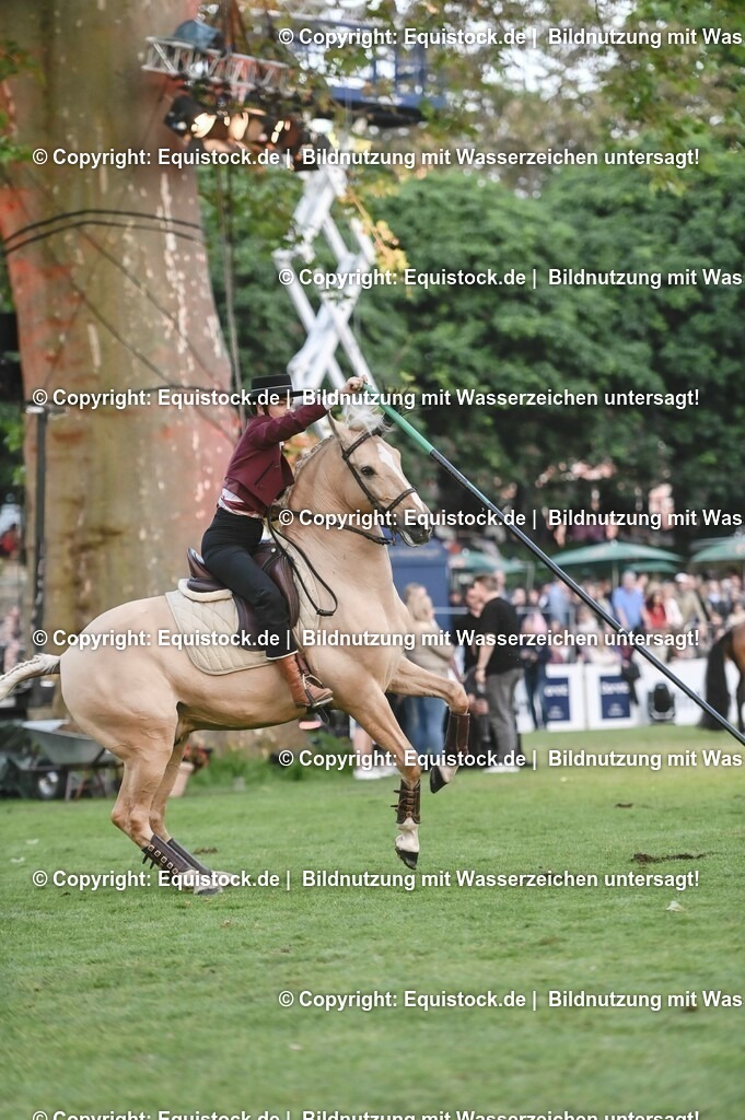 20230526_Pferdenacht_0727 | equistock