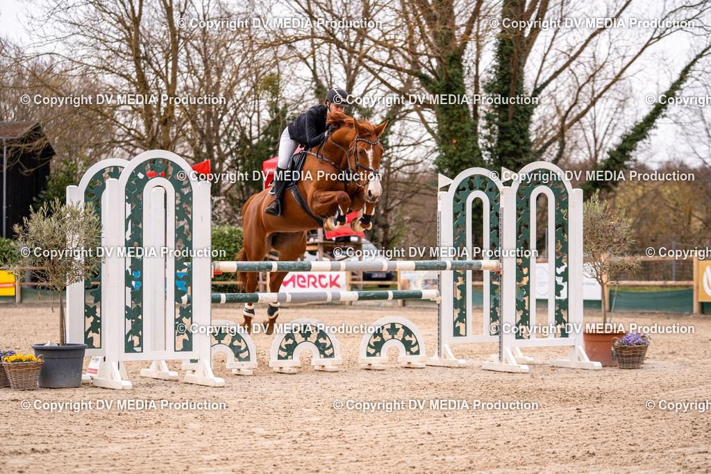 Kranichstein Tag 2-449 | dv-media-shop - Realisiert mit Pictrs.com