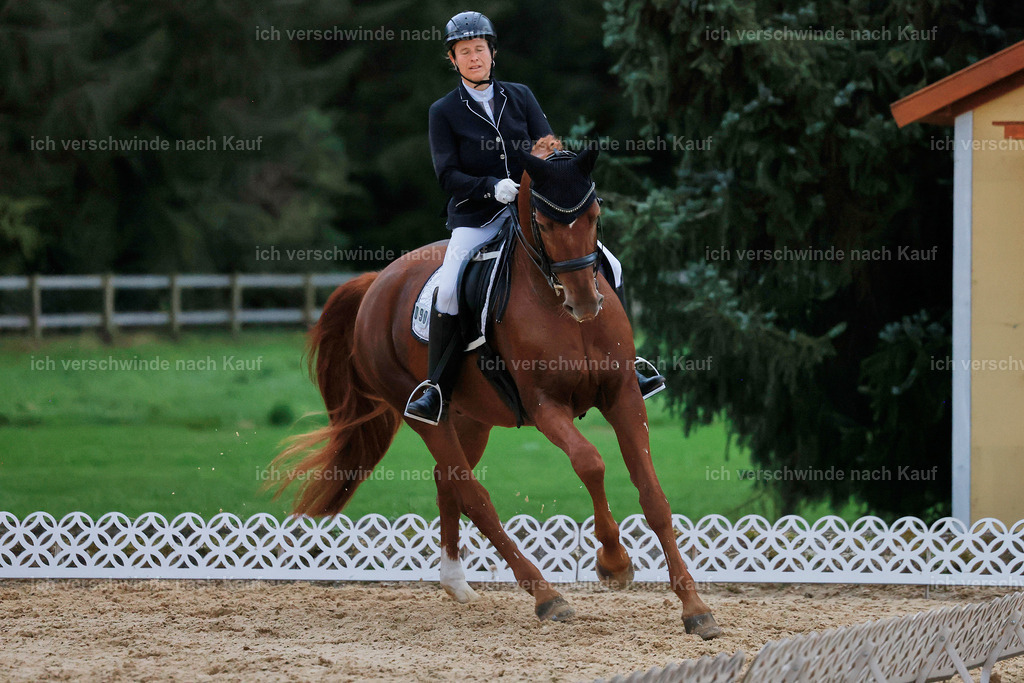 04_2-090-Dressur M__ -StoibPH-2999 | working equitationturnier fotograf videograf stoibphotography marixx film working equitation deutschland reitsport turnierfotografie eventfotografie equestrian events