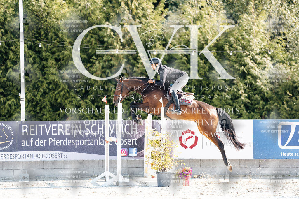 CK902044 | Turnierfotografie Pferdefotografie Trier Rheinland-Pfalz Pferdesport Reitsport Tierfotografie Sportfotografie Pferdevideo Pferdevideografie Equestrianvideography equestrianphotography  - Realisiert mit Pictrs.com