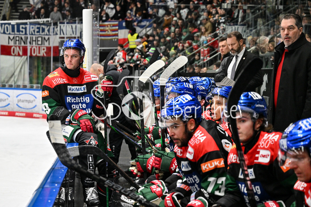 Augsburger Panther - Adler Mannheim | Im Bild die Bank der Panther im Powerbreak / DEL: Augsburger Panther - Adler Mannheim, Curt Frenzel Stadion am 16.02.2025