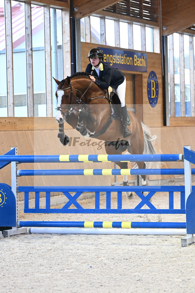 Limbothello B_7240488 | hf-fotografie - Realisiert mit Pictrs.com