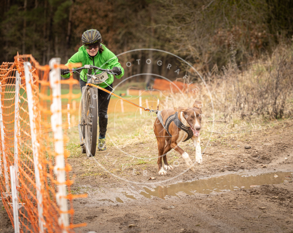 DV3A1597 | Hundefotografie, Tierfotograf, Pfotenfotografie, Fotoshooting Hund, Hunde Portrait, Hundesport, Hundeportraits, Heideshooting, Hunde, Sportfotograf, Hundefotograf, Turnierhundsport, THS,  - Realisiert mit Pictrs.com