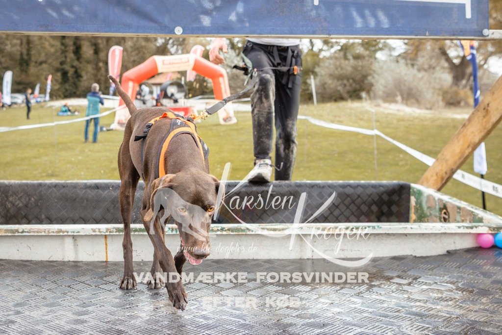 1343_ZZ91891-2 | kk-dogfotos