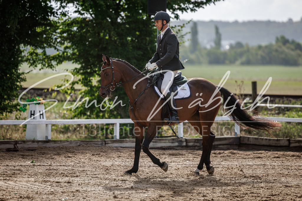 20260905-_3LI7060 | Tierfotografie Pferde, Hunde, Katzen, Haustiere.
Turnierfotografie Reitturniere, Reiten, Springreiten, Dressur in Hanau, dem Main-Kinzig-Kreis und dem Rhein-Main- Gebiet um Frankfurt