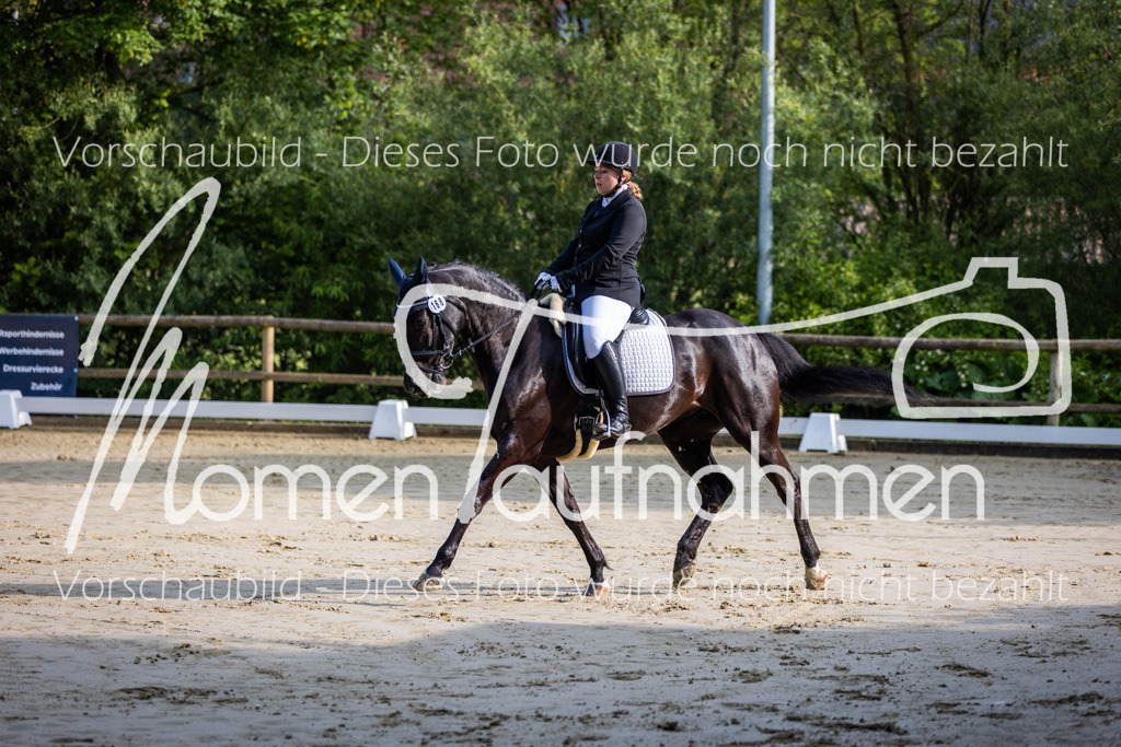 Donop24-A-Dre-011 | MomenTaufnahmen Pferdesportfotos