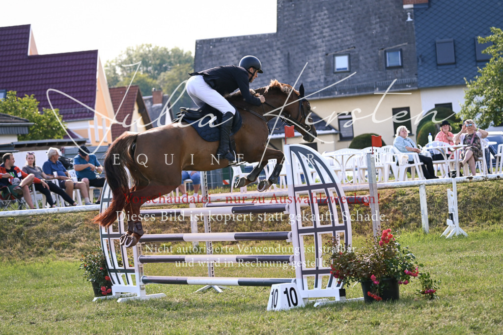 DSC_1490 | Pferde- und Turnierfotografie in Westsachsen. Pferdeportraits, Auftragszeichnungen und intuitive Kunst.