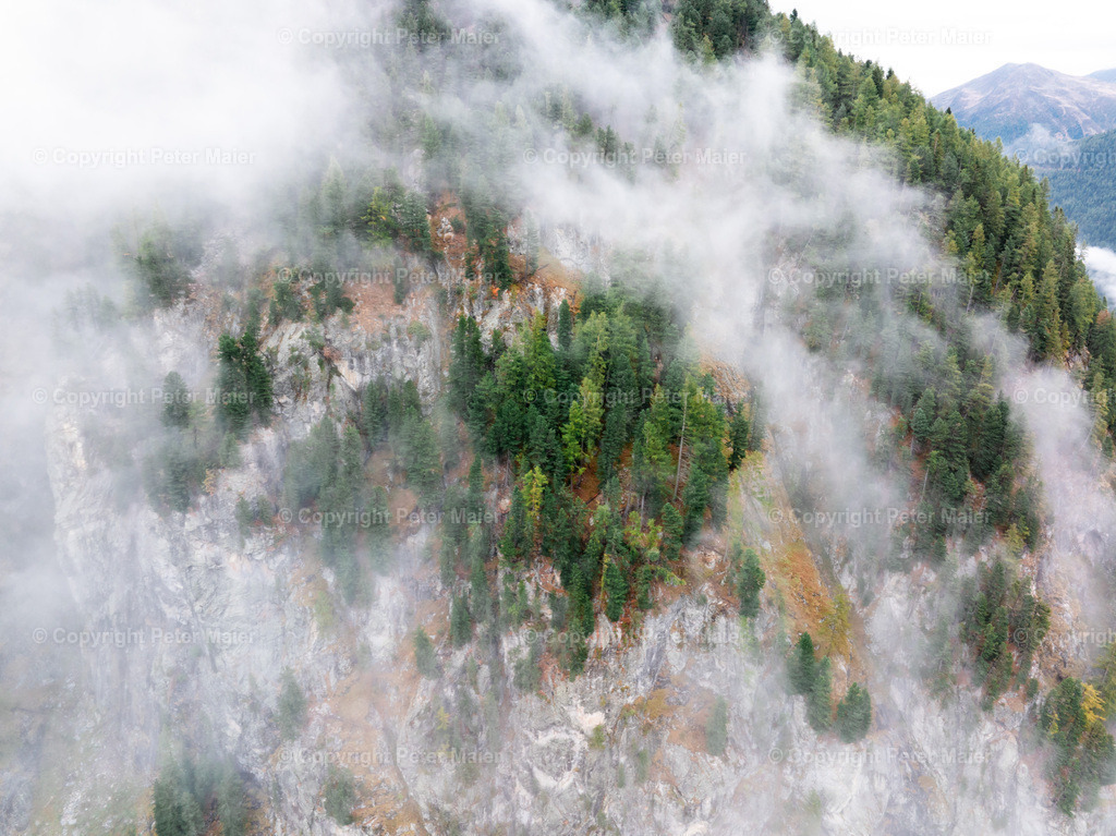 Divers_Erlebnisraum_Wald_23_Peter_Maier-867 | default