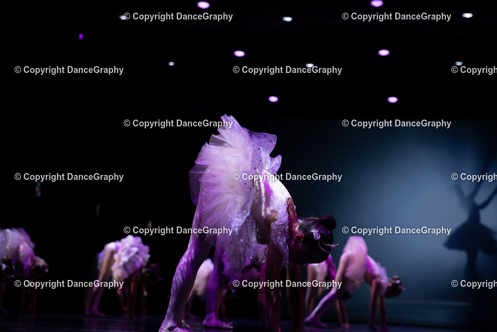 GPHY5236 | DanceGraphy - Realisiert mit Pictrs.com