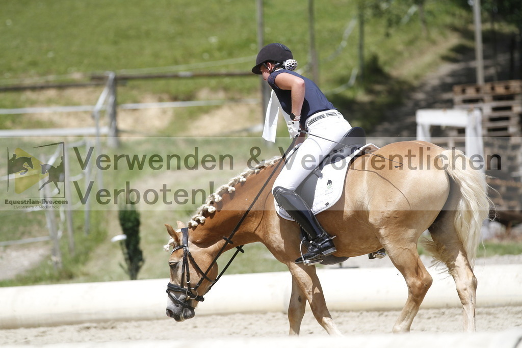 _MG_0974 | equestrian-live-com