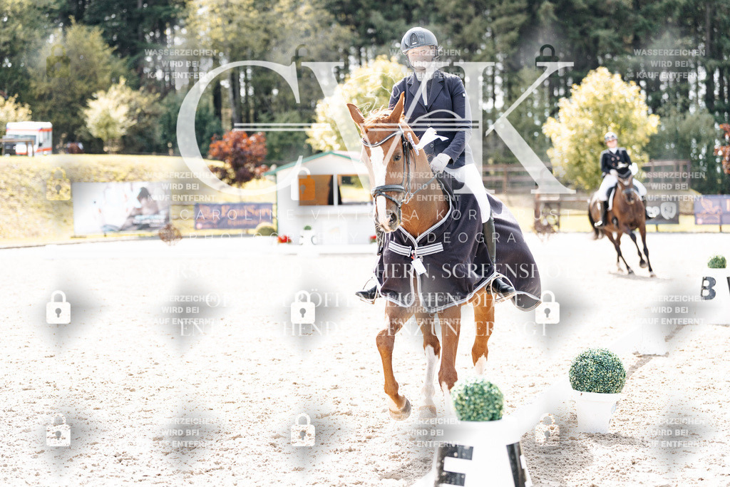 CK901016 | Turnierfotografie Pferdefotografie Trier Rheinland-Pfalz Pferdesport Reitsport Tierfotografie Sportfotografie Pferdevideo Pferdevideografie Equestrianvideography equestrianphotography  - Realisiert mit Pictrs.com