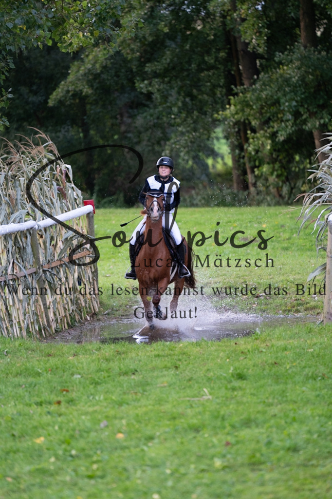 A7V02816 | Pferdefotograf