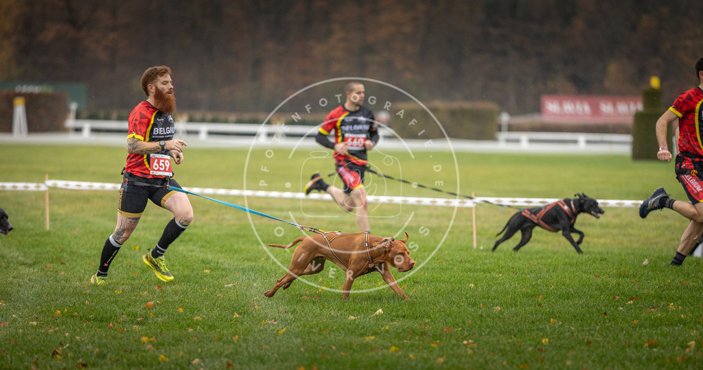 CaniXpix_DV3A9502 | Hundefotografie, Tierfotograf, Pfotenfotografie, Fotoshooting Hund, Hunde Portrait, Hundesport, Hundeportraits, Heideshooting, Hunde, Sportfotograf, Hundefotograf, Turnierhundsport, THS,  - Realisiert mit Pictrs.com