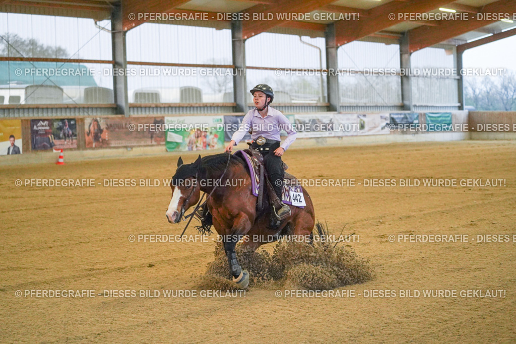 DSC09427 | Pferdegrafie