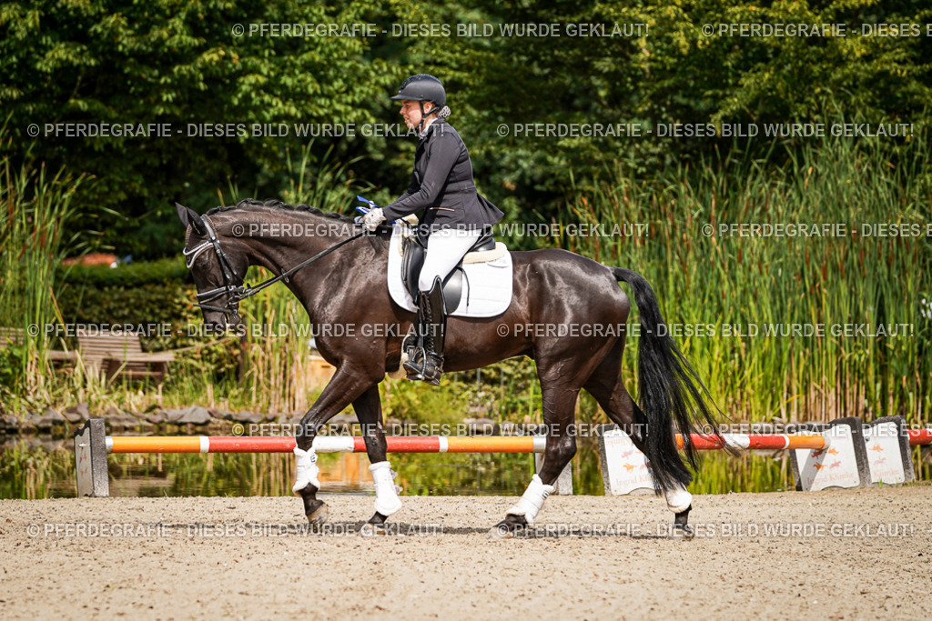 DSC09811 | Pferdegrafie