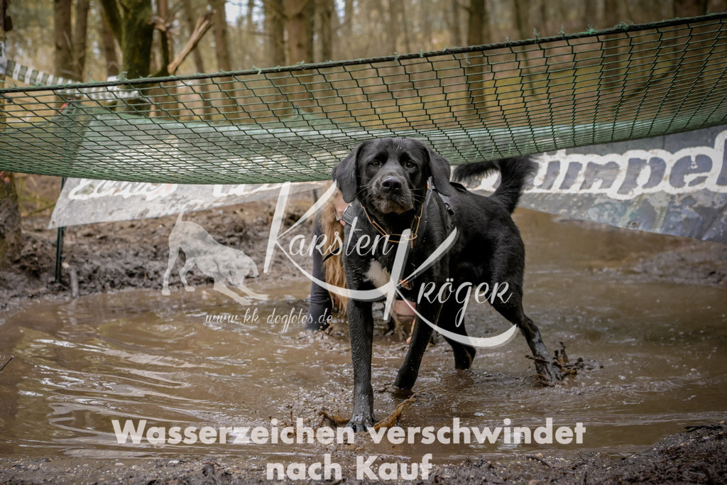 1056_ZZ92731 | kk-dogfotos