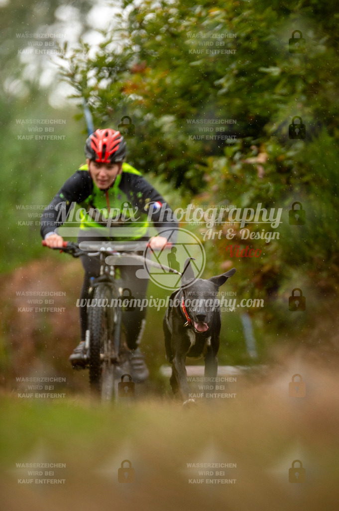 TSB_2023_E5_Bike-38 | PayLife