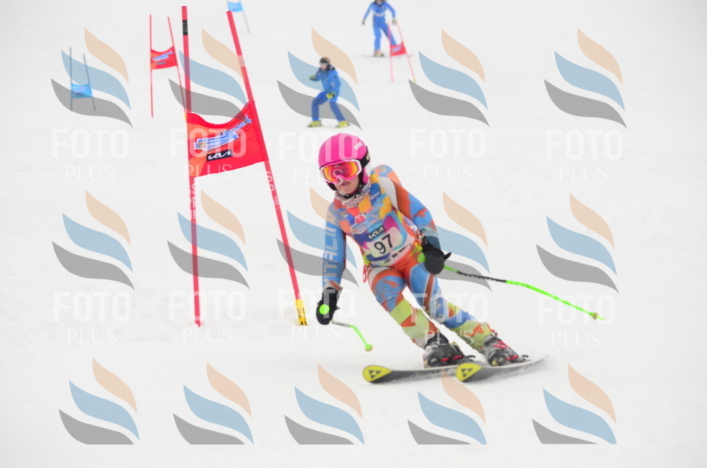 C1358 | holidayphoto