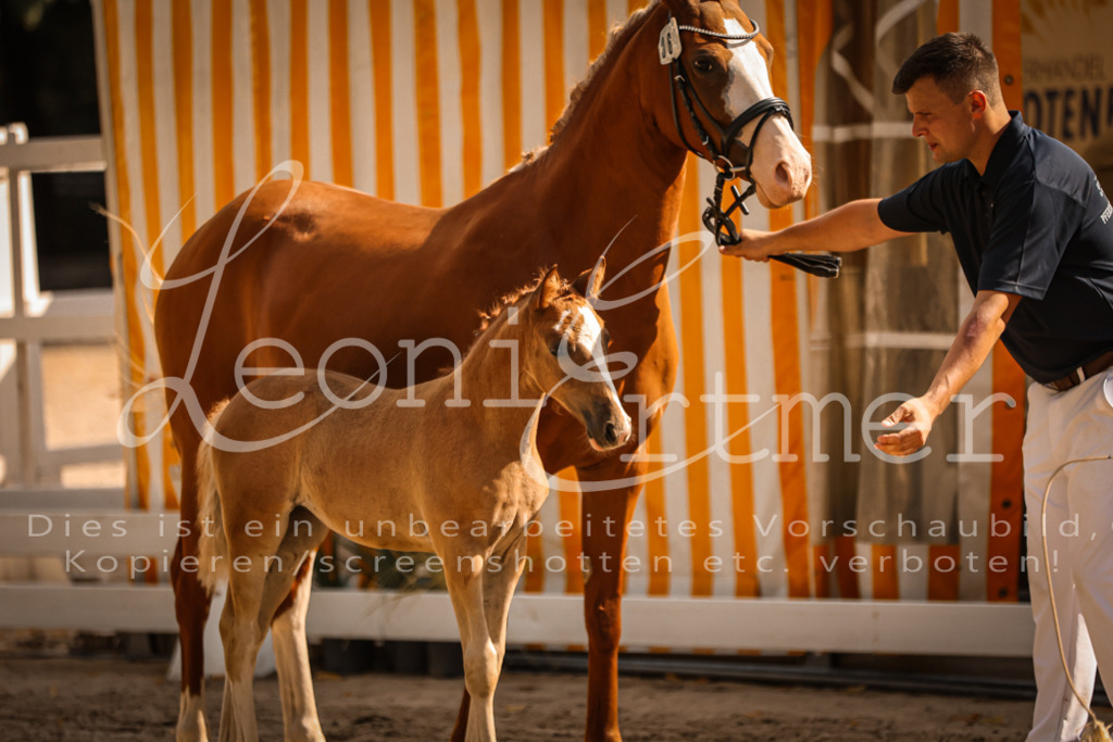 10.DoRP00162 | Leoni Ertmer Photography - Realisiert mit Pictrs.com