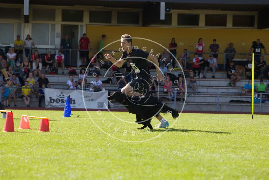 0L8A8325 | Hundefotografie, Tierfotograf, Pfotenfotografie, Fotoshooting Hund, Hunde Portrait, Hundesport, Hundeportraits, Heideshooting, Hunde, Sportfotograf, Hundefotograf, Turnierhundsport, THS,  - Realisiert mit Pictrs.com