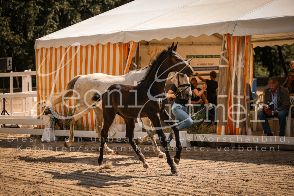 07.DoWBS00011 | Leoni Ertmer Photography - Realisiert mit Pictrs.com