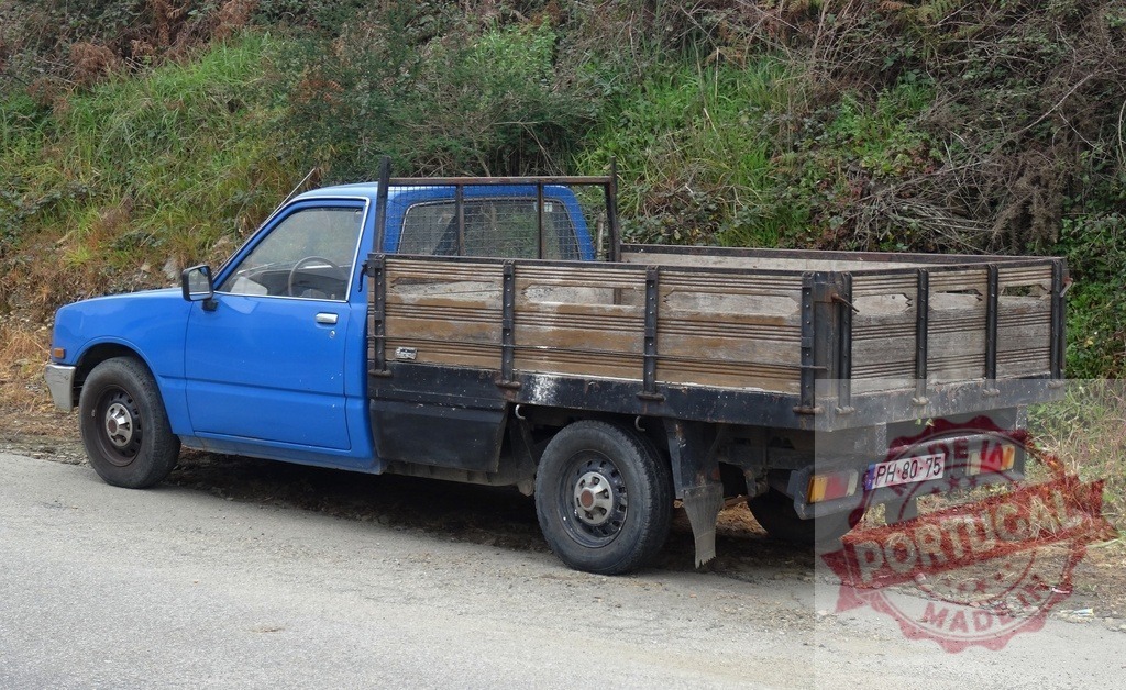 Blue Datsun pickup truck with wooden flatbed | Blue Datsun pickup truck with a wooden flatbed parked on a roadside - Realisiert mit Pictrs.com