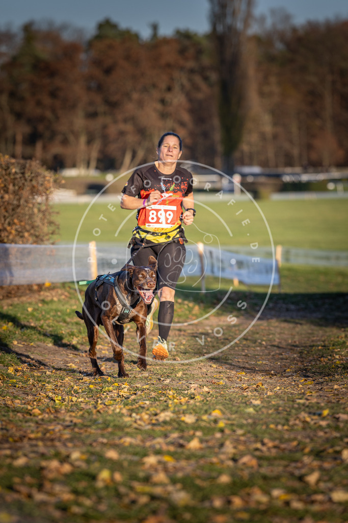 CaniXpix_DV3A4571 | Hundefotografie, Tierfotograf, Pfotenfotografie, Fotoshooting Hund, Hunde Portrait, Hundesport, Hundeportraits, Heideshooting, Hunde, Sportfotograf, Hundefotograf, Turnierhundsport, THS,  - Realisiert mit Pictrs.com