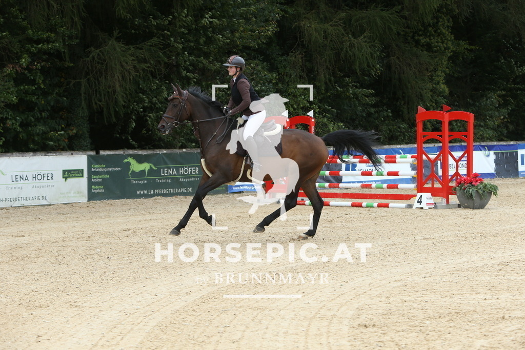 DL2Q1910 | Willkommen bei Brunnmayr - Design & Fotografie – Ihrem Spezialisten für Reitturniere und Pferdeveranstaltungen in Oberösterreich, Salzburg und Bayern! Seit über 17 Jahren sind wir leidenschaftlich dabei.