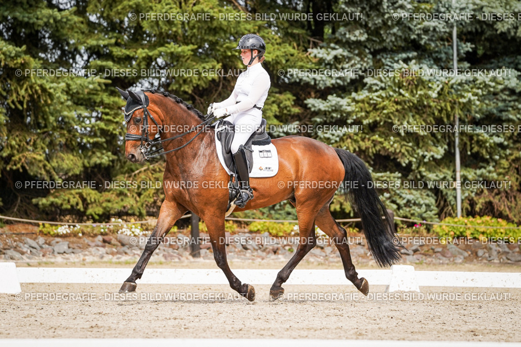 DSC06766 | Pferdegrafie