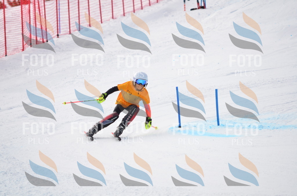 C8191 | holidayphoto